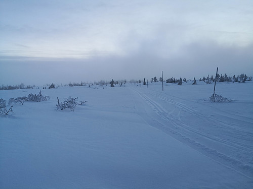 Frå skikrysset ved Kollmyrkampen i retning Appelsinhaugen