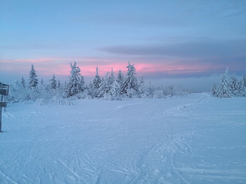 Nordover frå skikrysset ved Kollmyrkampen