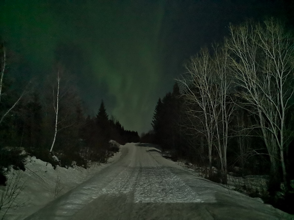 Nordlys i Vangsåsen