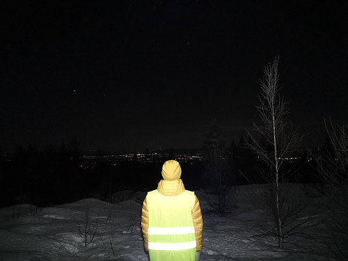 Utsikt mot Hamar