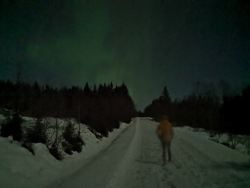 Nordlys i Vangsåsen
