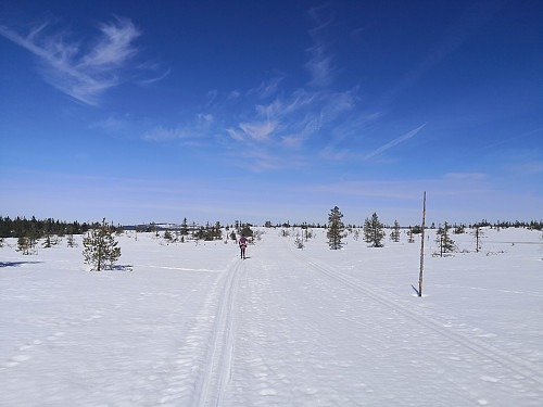 På veg til krigsminnet på Stenfjellet