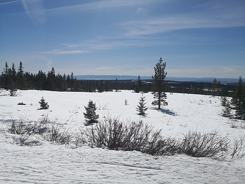 Utsikt frå Stenfjellhytta