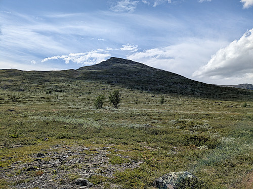 Oppover mot Åkrekampen (punkt 1501moh), frå råket innover mot Lassekampen