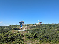 Gjetarbue