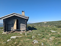Gjetarbue