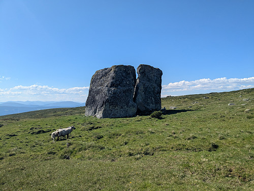 Klovningssteinen