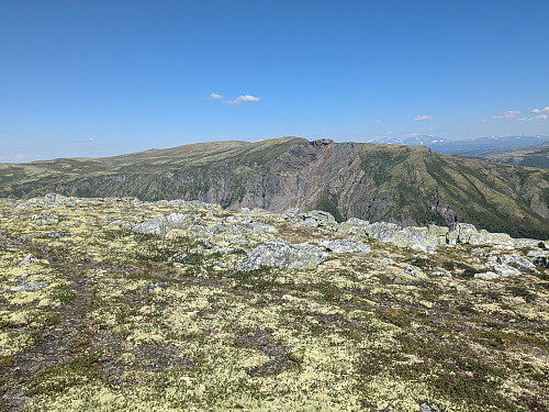 Mot Skardshøe (1478moh) frå Storhøe. Stort rasområde midt i bilde
