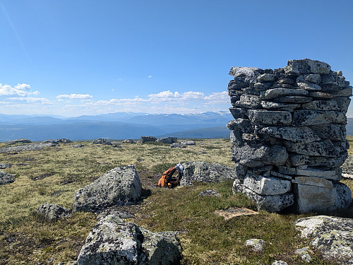 Toppvarden