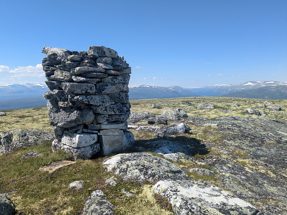Toppvarden