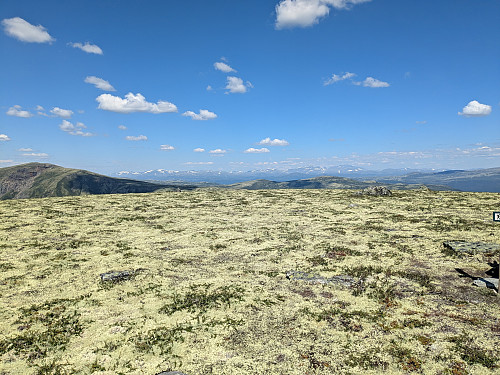 Mot Dovrefjell frå vesttoppen på Brånåhøe