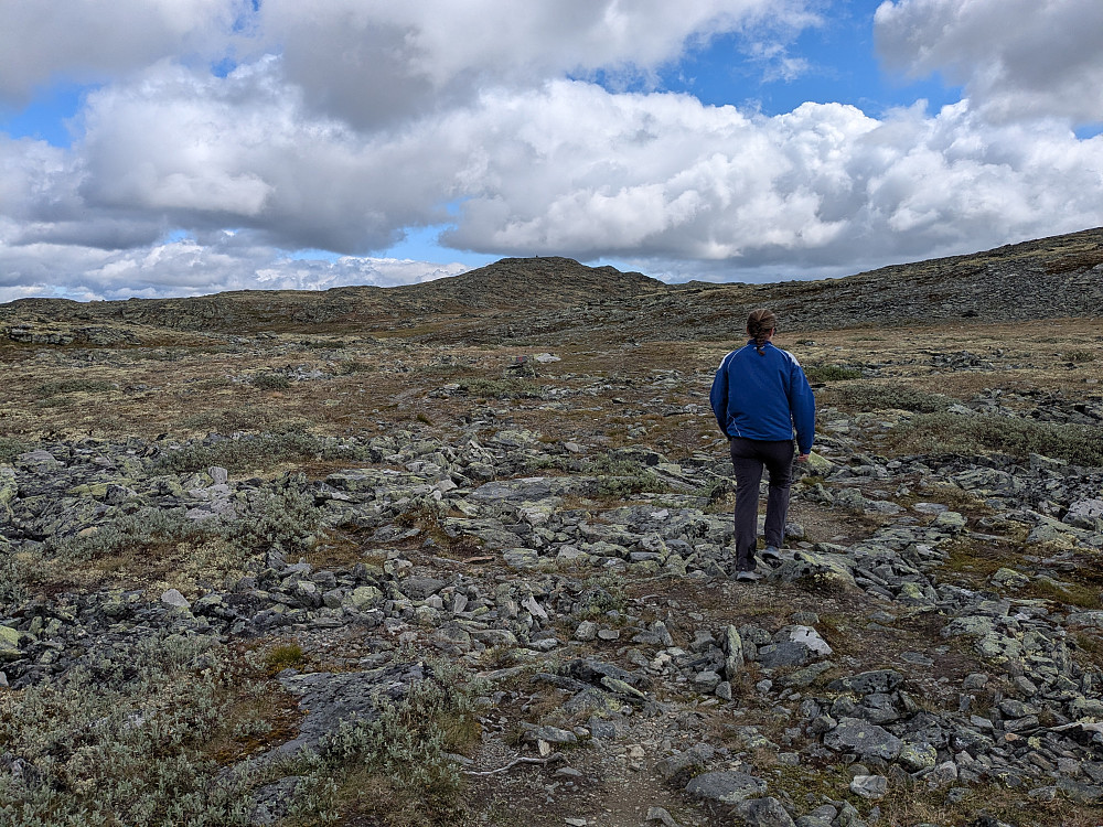Oppover mot Ruten