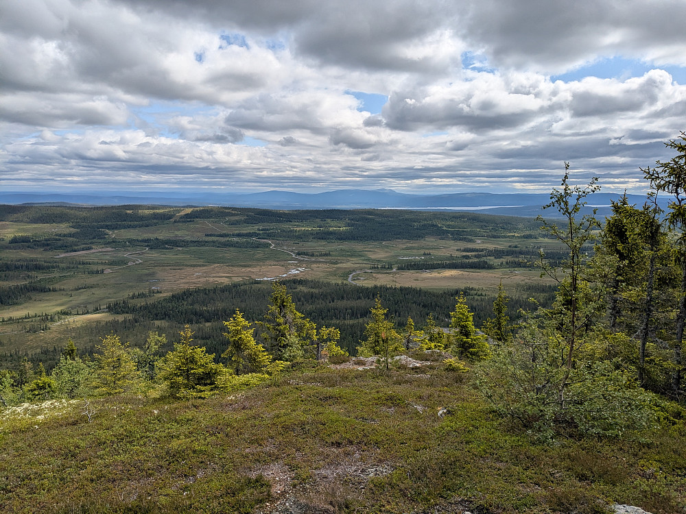 Utsikt frå toppen