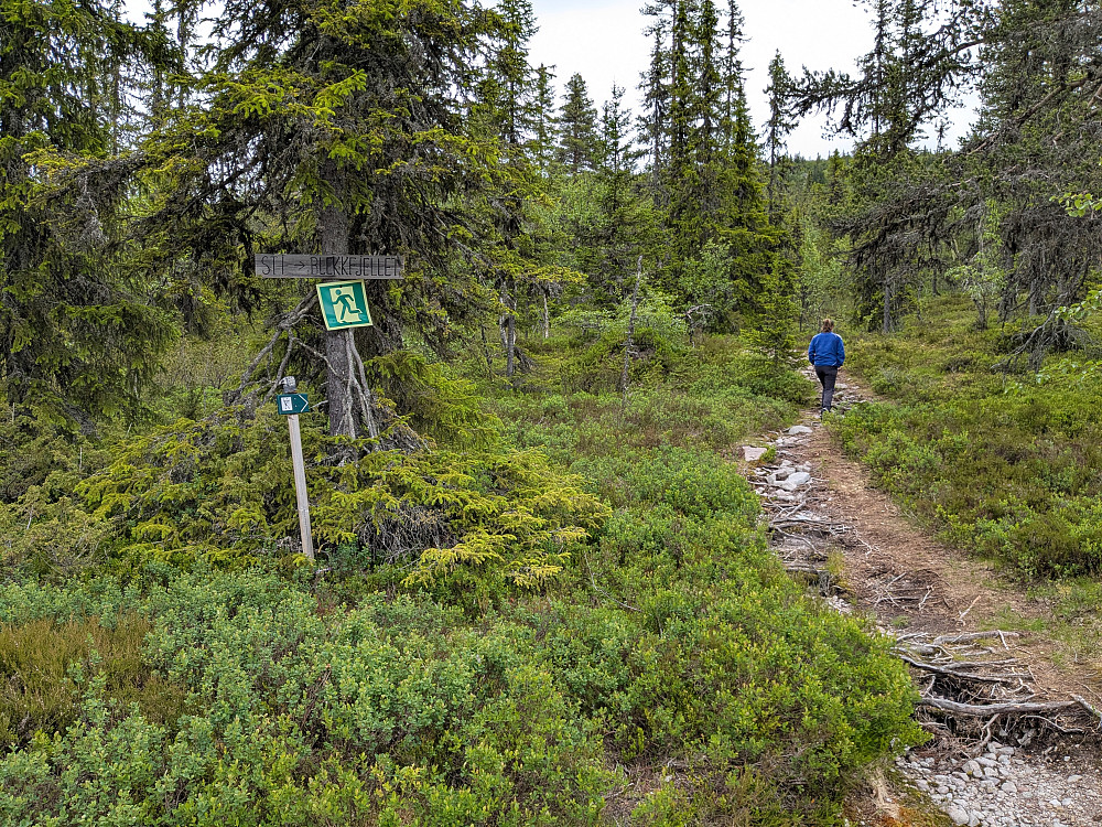 Turstart til Blekkfjellet