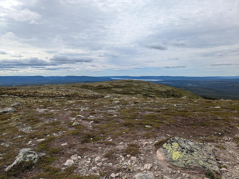 Utsikt mot Osensjøen