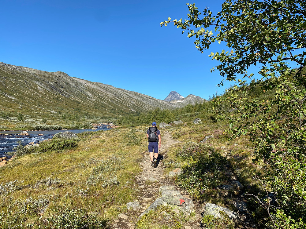 Oppover Storådalen, en veldig flott og lettgått dal.