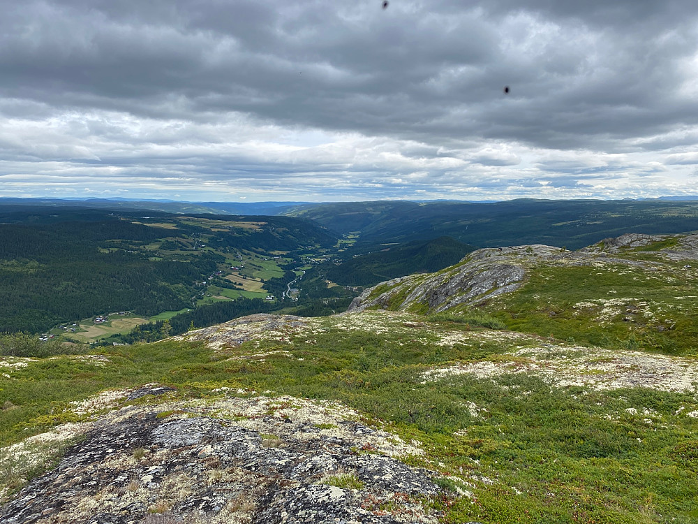 Fint på Trona