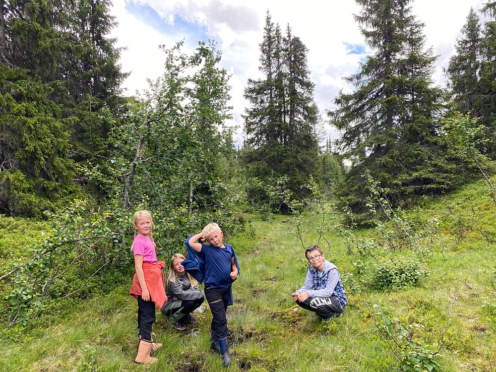 På tur mellom Nysetra og Djupådalen.