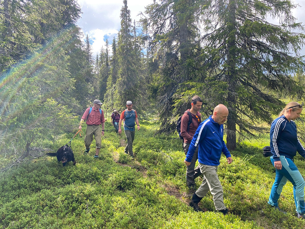 På tur mellom Nysetra og Djupådalen.