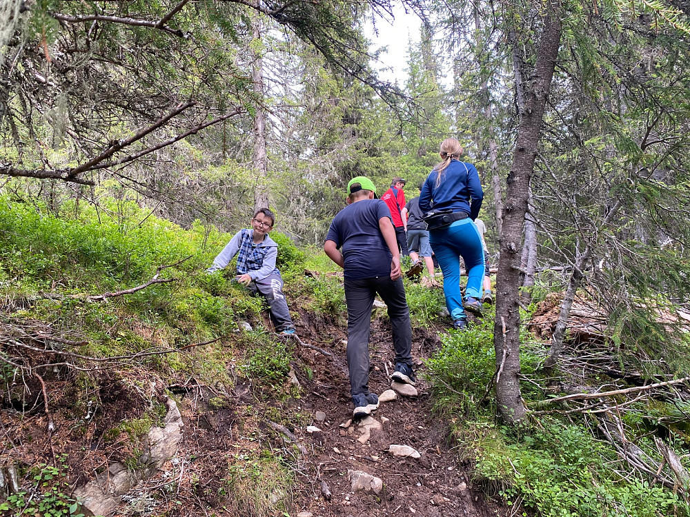 Opp igjen fra Djuåa mot Djupådalsetra.