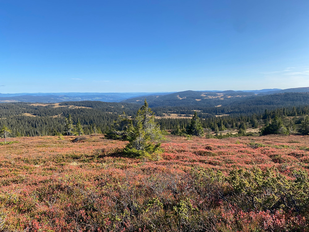 Fine farger i høstfjellet