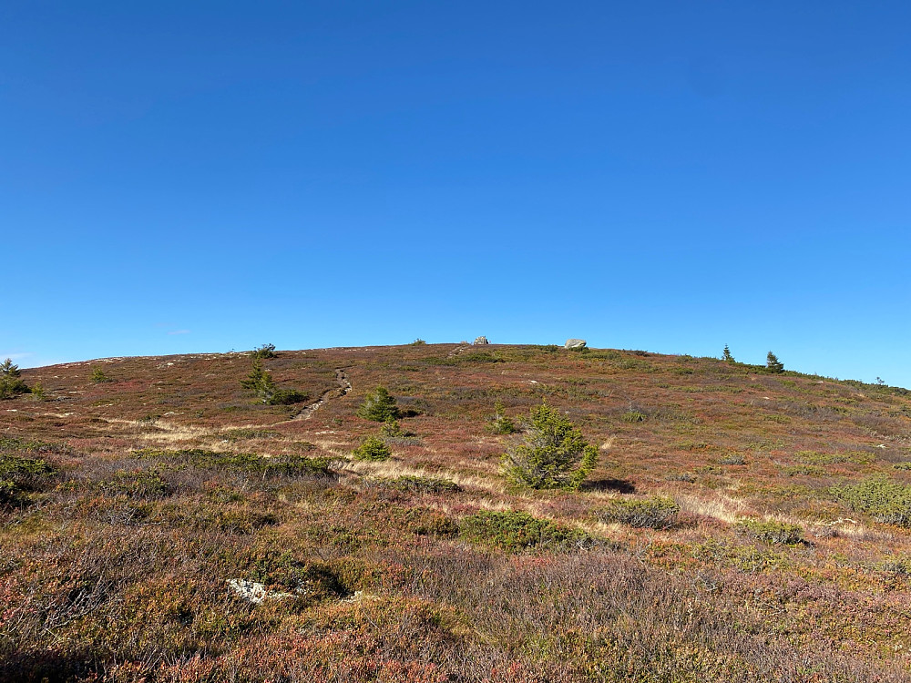 Oppover mot toppen