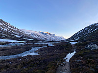 JoNy_20240520_664a7986676cf.jpg