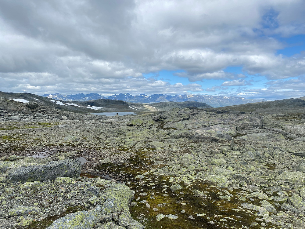 Utsikt mot Jotunheimen.