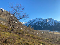 JoNy_20250518_682a27c83fb3a.jpg