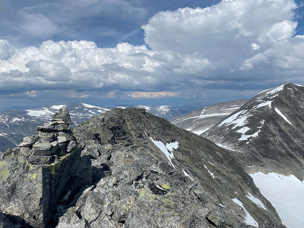 Toppen av Vestraste hestrbrepigg.