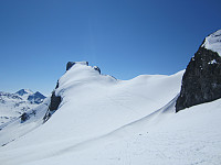 Storebjørn.