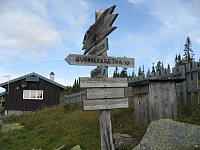 Munkbetsetra.