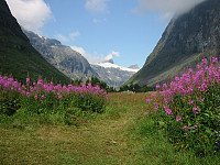 Stølsmaradalen.