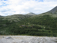 Bjørnhollia.