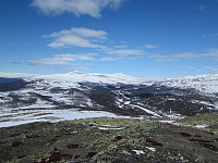 Line_20220715_62d1c1b3e507f.jpg
