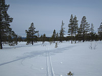Line_20220716_62d2c30e2d8c5.jpg