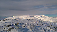 Line_20220716_62d2d358d0ae3.jpg
