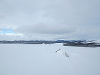 Line_20220716_62d308af30723.jpg