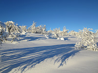 Line_20220716_62d30978dc7be.jpg