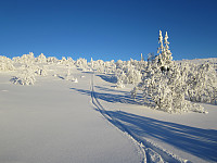 Line_20220716_62d3097ea5b11.jpg