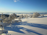 Line_20220716_62d3097fe64d8.jpg