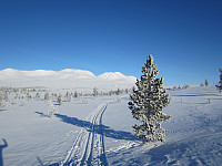 Line_20220716_62d309da384fc.jpg