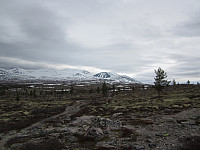 Line_20220716_62d30ad4d81b5.jpg