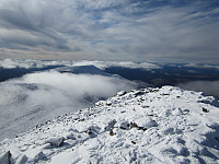 Line_20220716_62d30d2b370bb.jpg
