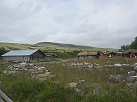 Line_20220716_62d312755e580.jpg