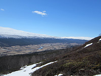 Line_20220717_62d412b3a7222.jpg