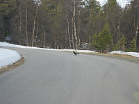 Line_20220717_62d4144e90830.jpg