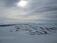 Line_20220717_62d41450309c8.jpg