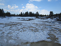 Line_20220717_62d41583d265a.jpg
