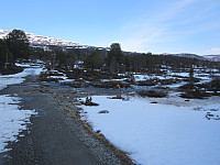 Line_20220717_62d41585a9311.jpg